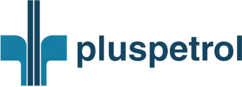 logo-vector-pluspetrol-transparent.png.web_.480.480.webp